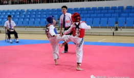 跆拳道比赛视频,激情对决，精彩瞬间回顾